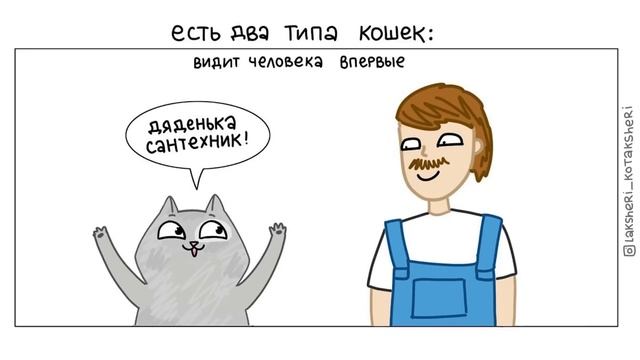 КОТО-КОМИКСЫ) Лакшери-Котакшери | Мемозг 1264 смотреть онлайн