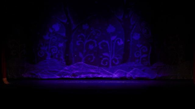 Одноактный детский балет-сказка ЩЕЛКУНЧИК