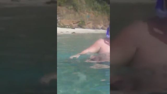 Таиланд. monkey beach смотреть онлайн