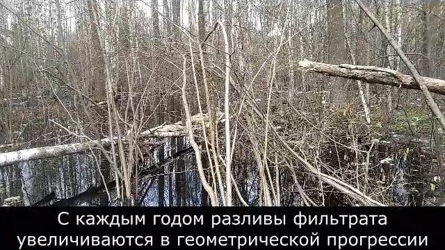 Слушания в Новощапово 30 мая 2022 смотреть онлайн