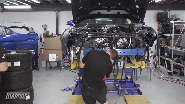 Ford Mustang GT | Harrop S550 Engine Oil Cooler Kit смотреть онлайн