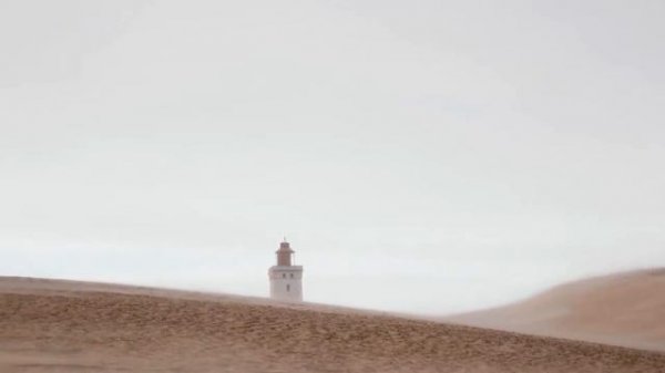 Amazing Real Life Survival Stories