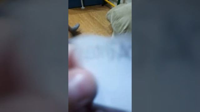 Выбери правильную еду. 1 часть. Съел бумагу! смотреть онлайн