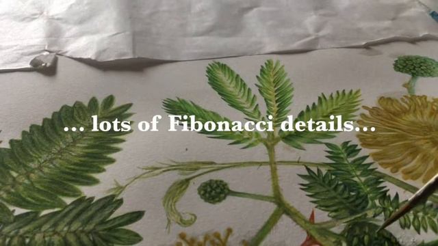 @botanicalarthun- mimosa, watercolor painting process смотреть онлайн
