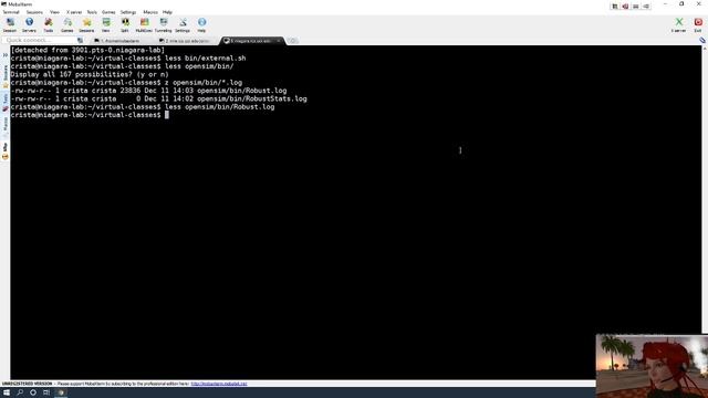 OpenSimulator: How to set up a multi-simulator grid (Part 1) смотреть онлайн