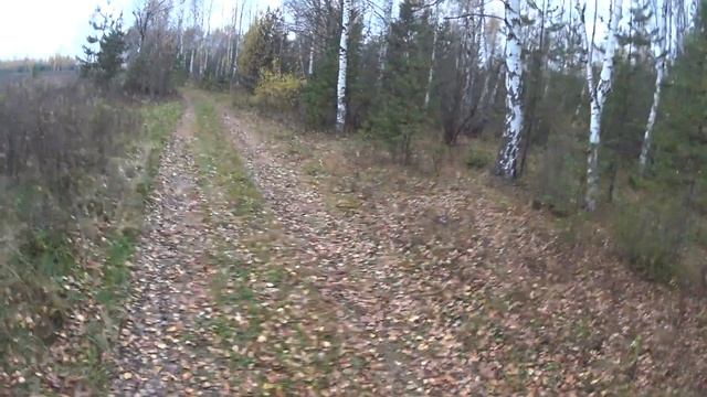 Мегафон ручной громкоговоритель РМ-24С с аккумулятором смотреть онлайн