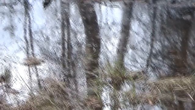 Ищу самородки металлоискателем Eureka Gold!!!