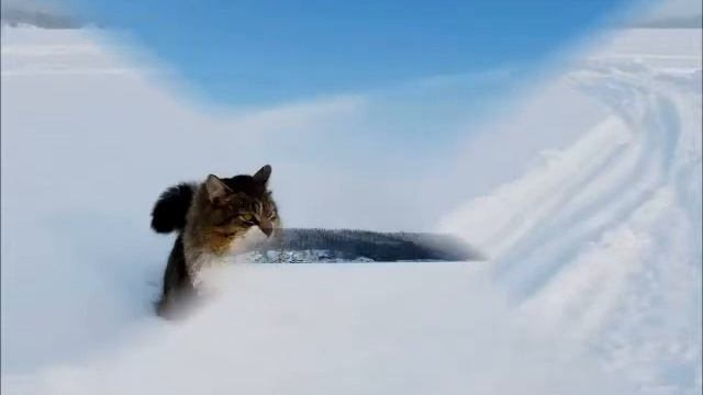 Тайны Ладожских шхер смотреть онлайн