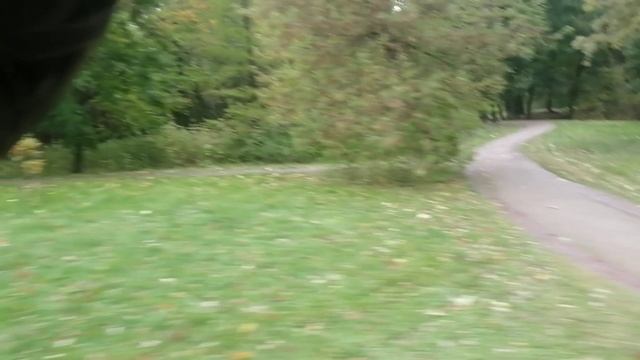 Парк усадьба Царицыно смотреть онлайн