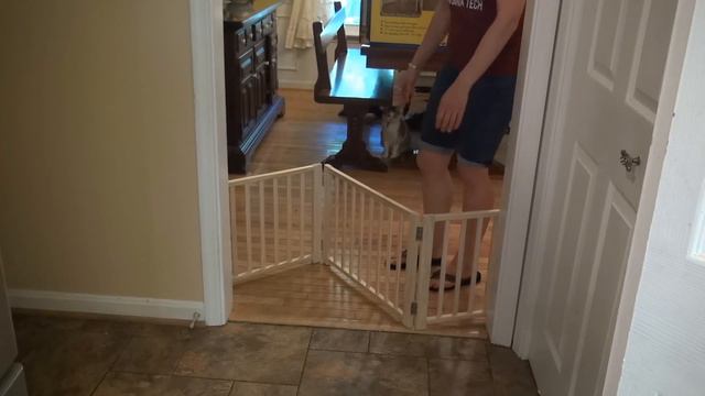 Four Paws Freestanding Walkover PET GATE Review 🐶 смотреть онлайн