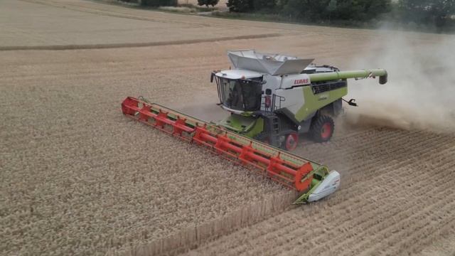 Harvest 2022: Claas Lexion 8700 combine harvester + v1230 Vario header + Case Puma 240 AFD carting смотреть онлайн