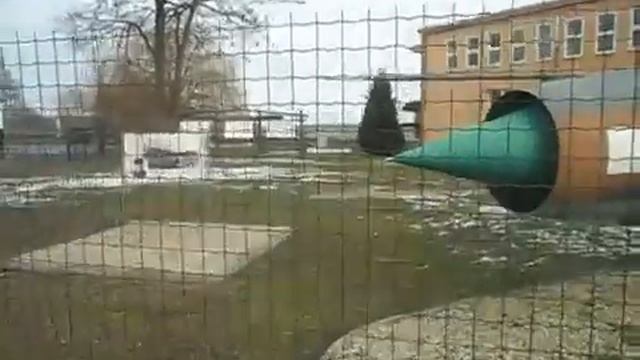 Космос буквально рядом! Зигмунд Йен (Sigmund Jähn) и Каменц (Kamenz). Аэродром. смотреть онлайн