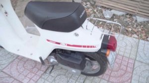 Honda Eve Smile | Mini Scooter