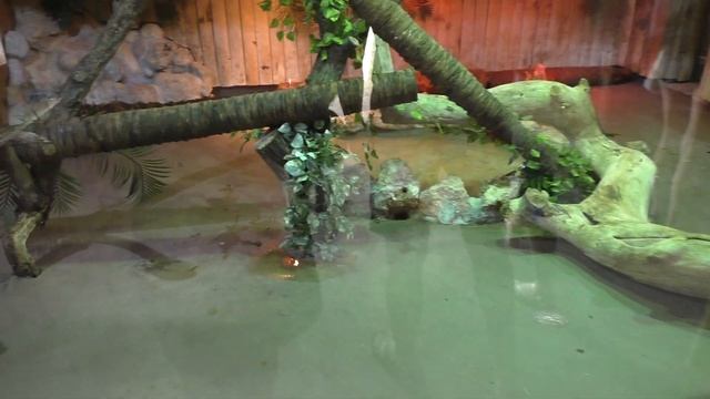 Mallorca - Marineland смотреть онлайн