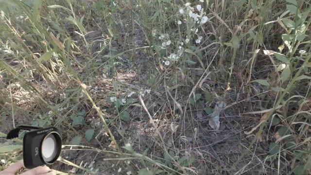 Поиски светофильтра для камеры в траве. смотреть онлайн