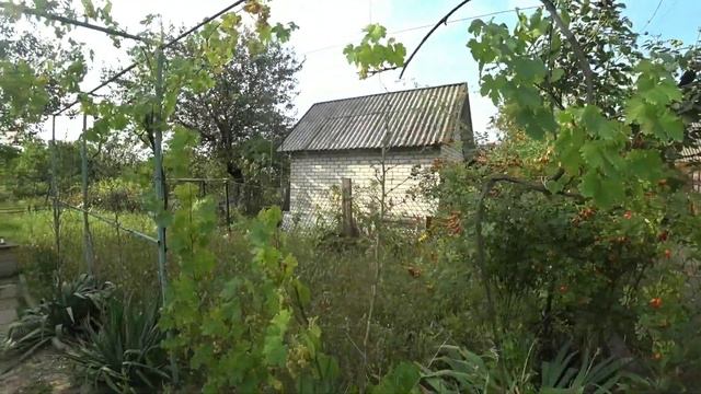 ШОК!!! ЧТО СЛУЧИЛОСЬ С НАШЕЙ ДАЧЕЙ? ПОКА НАС НЕ БЫЛО!!! смотреть онлайн