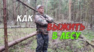 Как выжить и чем питаться в лесу?