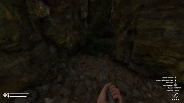 GREEN HELL | Грин Хелл Духи Амазонии - НА ТРОПЕ ВОЙНЫ С ВАРАХА | Прохождение #9 смотреть онлайн