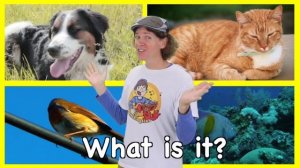 What Is It? Animals Song | My First Words Series Song 1 | Learn English