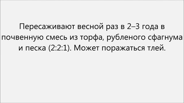 Эписция уход смотреть онлайн