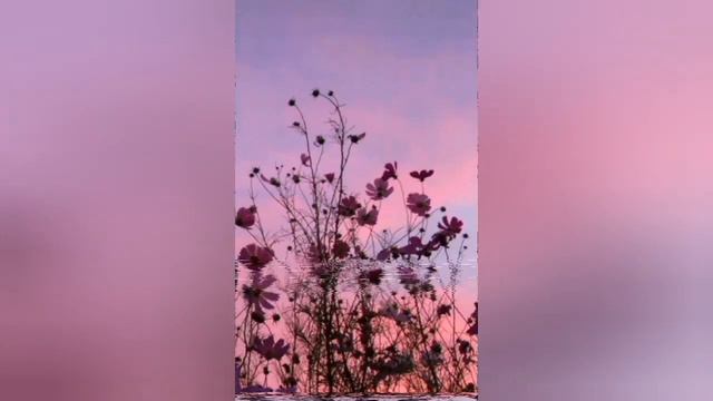 эстетика😇 видео можно смотреть ВСЕМ!!!! смотреть онлайн