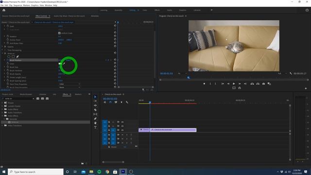How To Make HAND DRAWN CIRCLE Animation In Premiere Pro смотреть онлайн