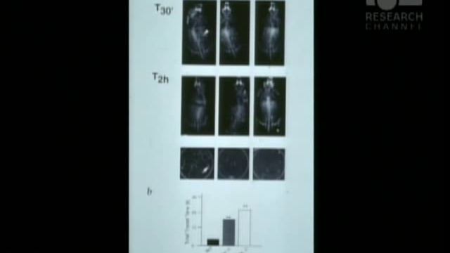 Brain Messengers: The Inaugural Arthur M. Sackler Lecture смотреть онлайн