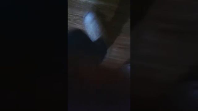 There's a snake in my boot part 2 смотреть онлайн