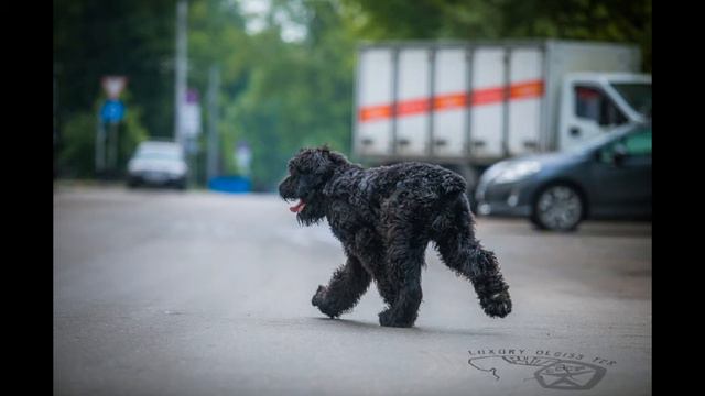 БРЕНД,4 мес. смотреть онлайн