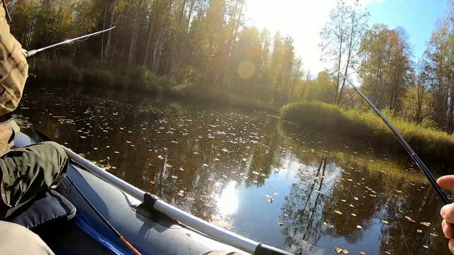 По лесной речке со спиннингом смотреть онлайн