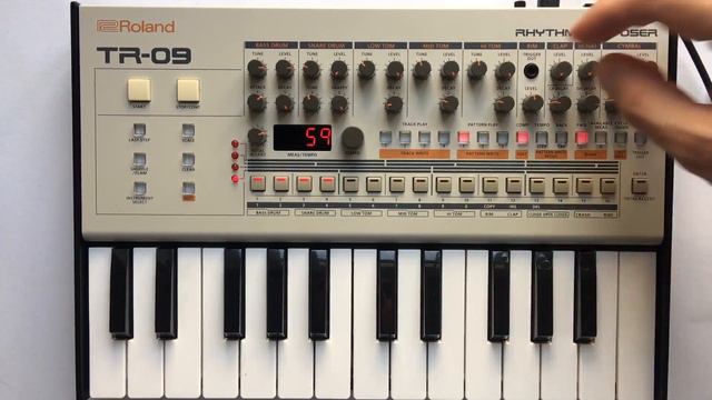 Roland TR-09 Demo - Hidden Parameters смотреть онлайн