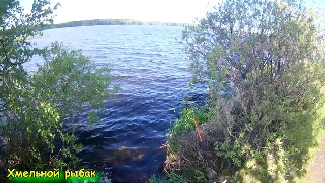 Здесь рыбы нет!!! Часть 6-ая. Рефтинское водохранилище. Рефтинская Грэс. Свердловская область. смотреть онлайн