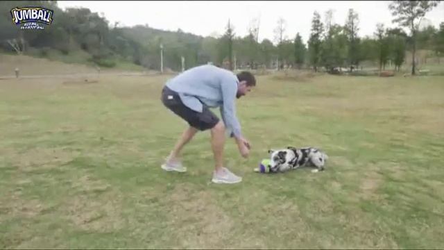 Jumball Tennis Ball with Handle смотреть онлайн