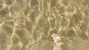 Сравнение перелета на чартерах Azur Air и Turkish Airlines