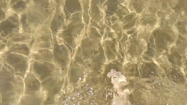 Сравнение перелета на чартерах Azur Air и Turkish Airlines