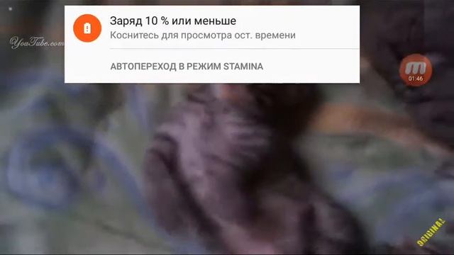 Попробуй не зевать ? смотреть онлайн