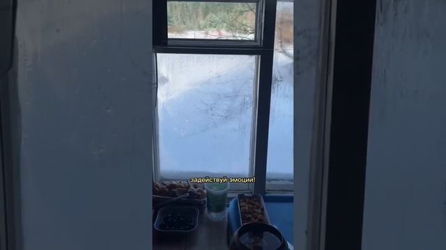Что снимать в маленьком городе? #личныйбренд #блогер #блог #влог #влоги #сммпродвижение #смм #рилсы смотреть онлайн
