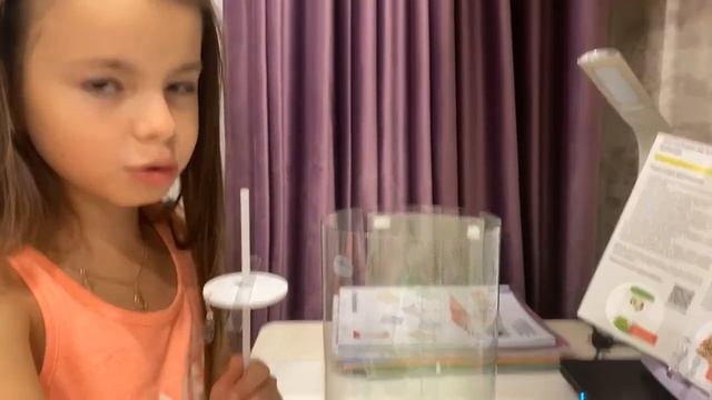 Бабочкарий. С чего начать и как вырастить бабочку из куколки смотреть онлайн