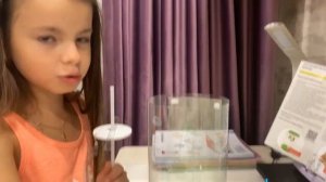 Бабочкарий. С чего начать и как вырастить бабочку из куколки