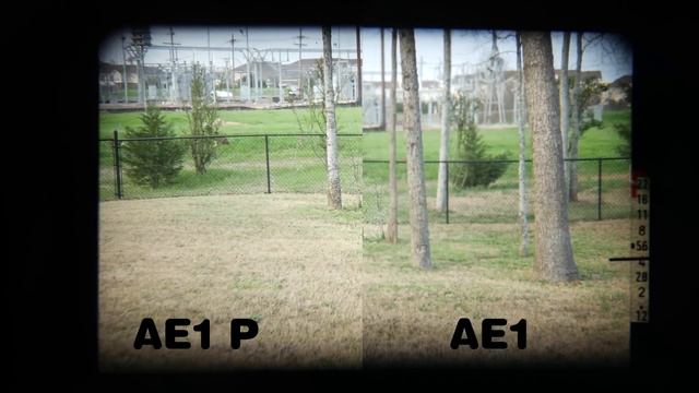 Canon AE-1 vs AE-1 Program - Retro Camera Review - Ep. 15 смотреть онлайн