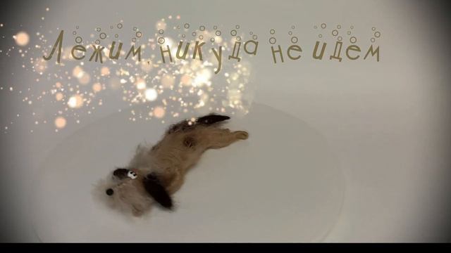 Лежим, никуда не идем смотреть онлайн