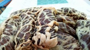 Жаубаур (Жал баур)