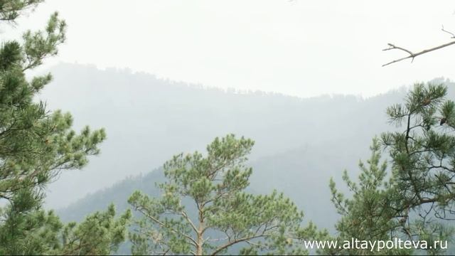 Алтайский язык. Урок № 2. Приветствие. смотреть онлайн
