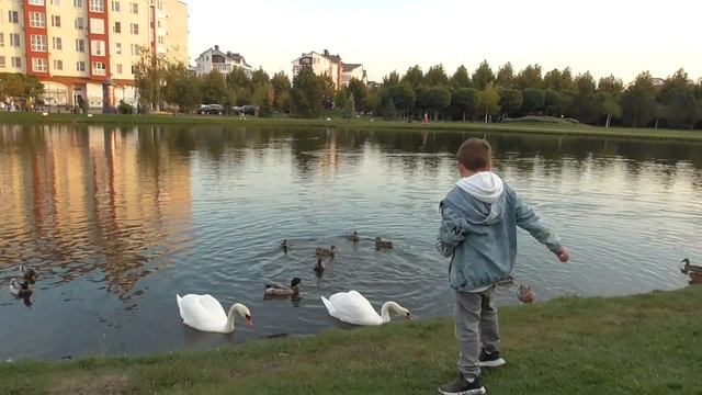 Мы в Немецкой деревни Краснодар 2023 г смотреть онлайн