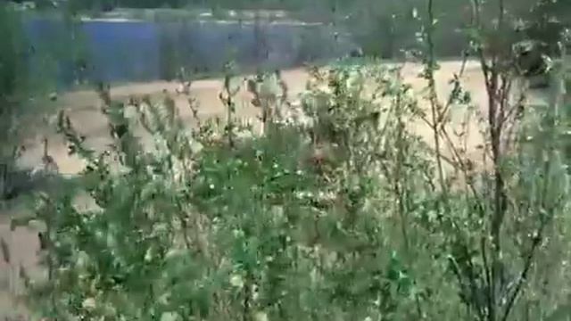 Письмо матери (к/ф - Калина красная, 1973) смотреть онлайн