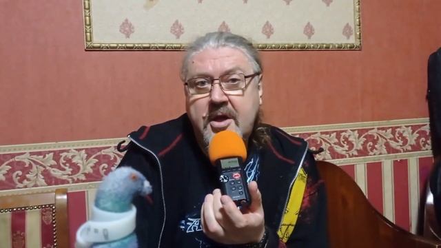 Сергей Терентьев - о творческих планах Артерии и участии на PowerMetalFest смотреть онлайн