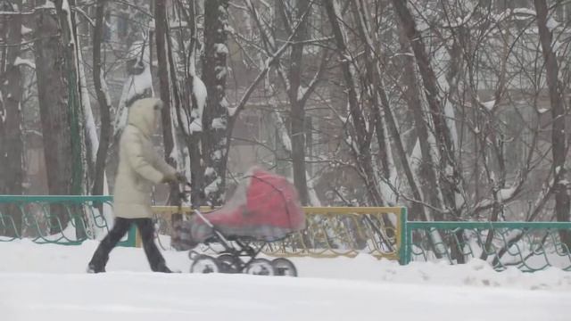 Снегопад? Гулять все равно надо! смотреть онлайн