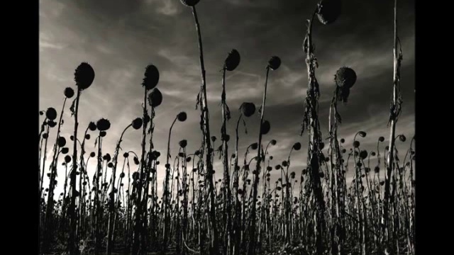 Dead Can Dance - Opium