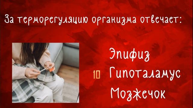 Тест по медицине / Только врач или эрудированный человек сможет справиться с тестом / Botanya Tany смотреть онлайн