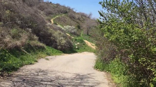 Крым без туристов. Пляж Толстяк. Севастополь. Обычная прогулка по местным достопримечательностям смотреть онлайн